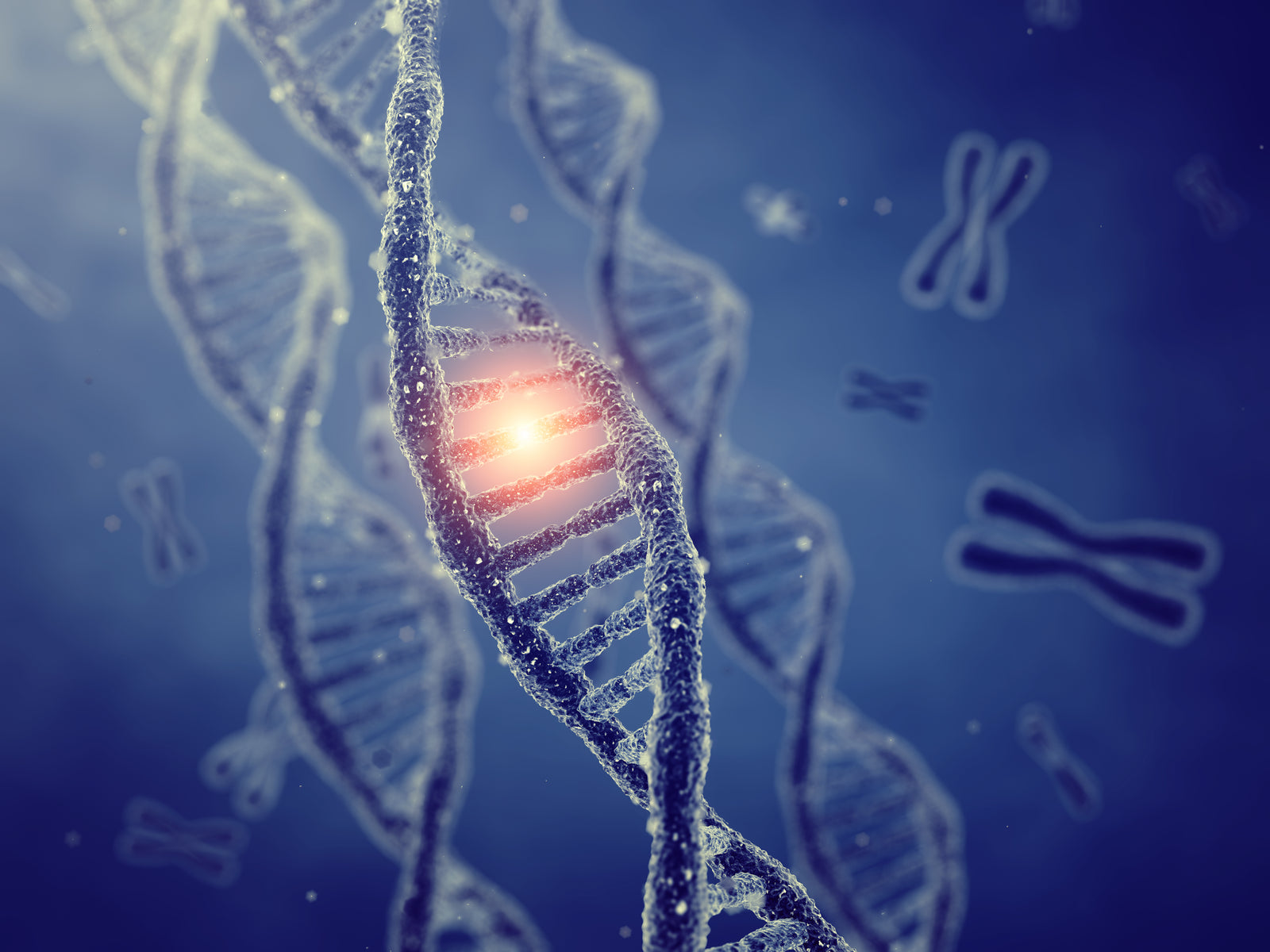 The Role of Oxidative Stress in Parkinson’s Disease